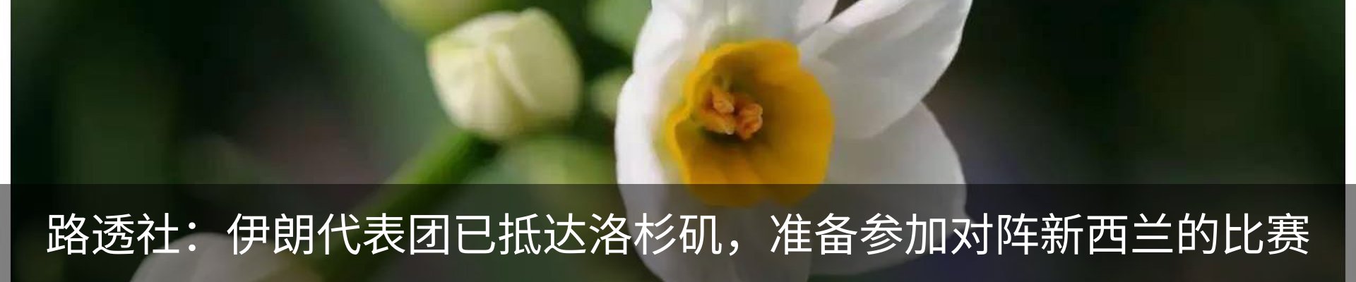 资讯动态